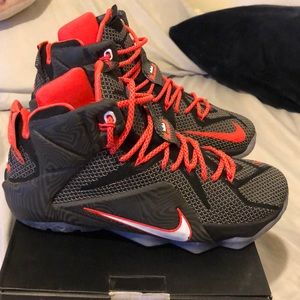 lebron 12